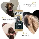 Bugalugs Shampoo - One in A Million 500ml