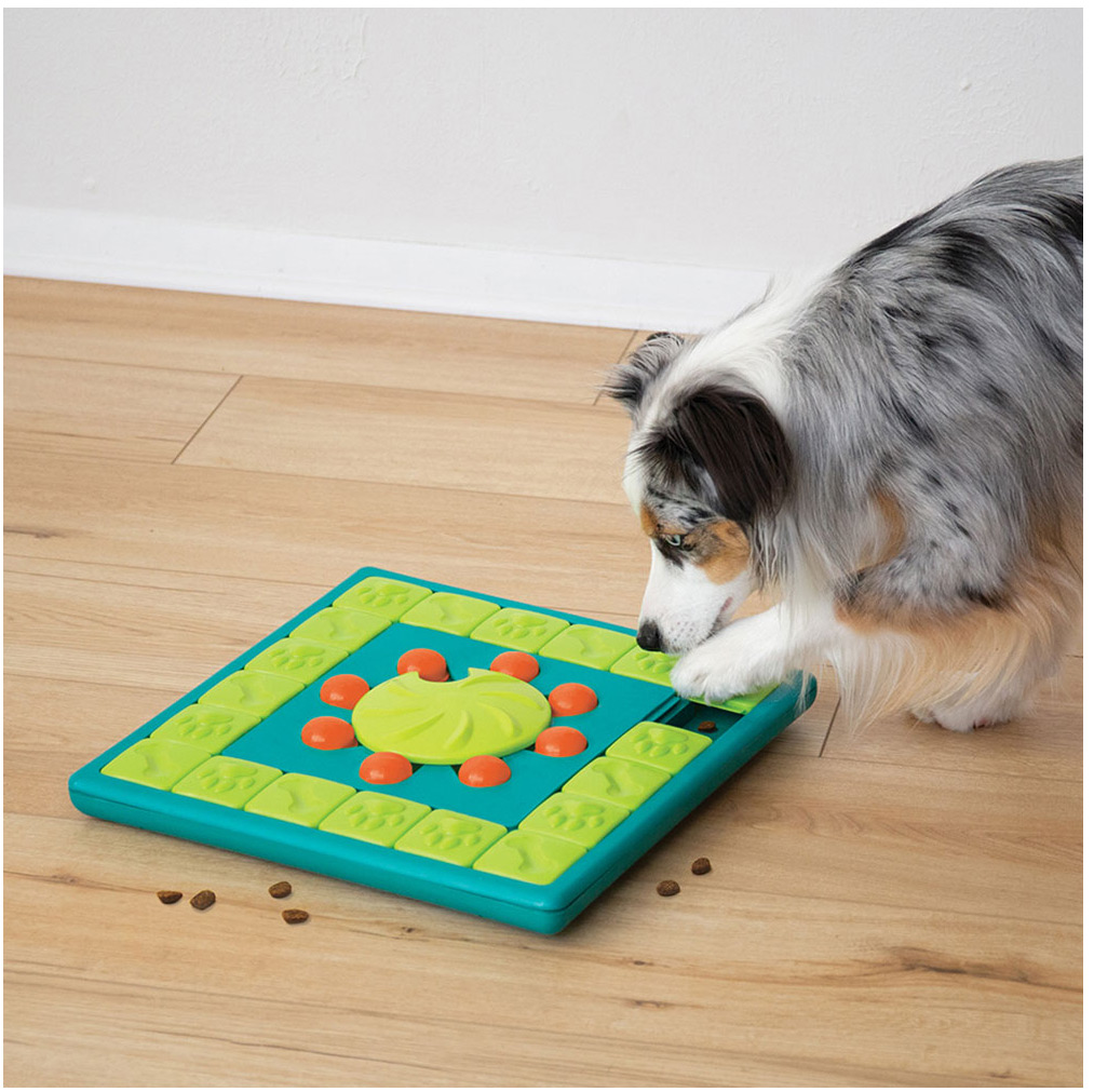 Nina Ottosson MultiPuzzle Interactive Dog Game