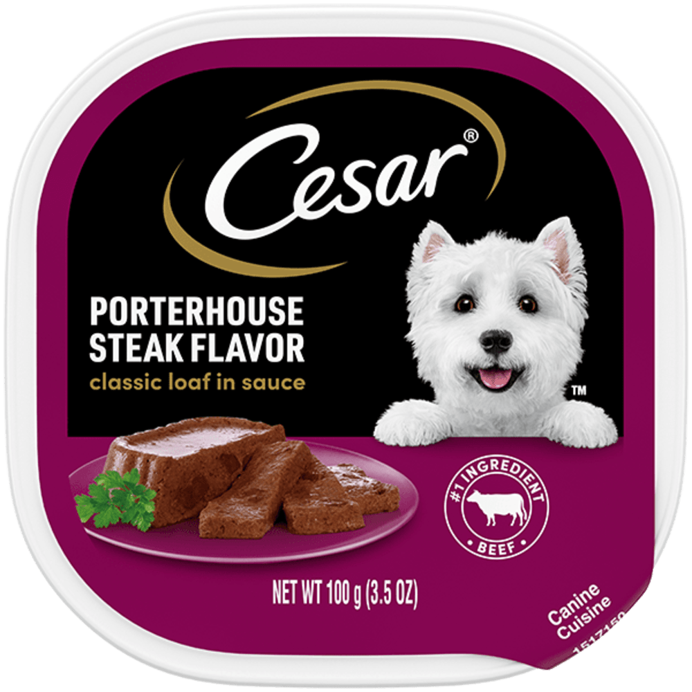 Cesar Canine - Porter House - Steak