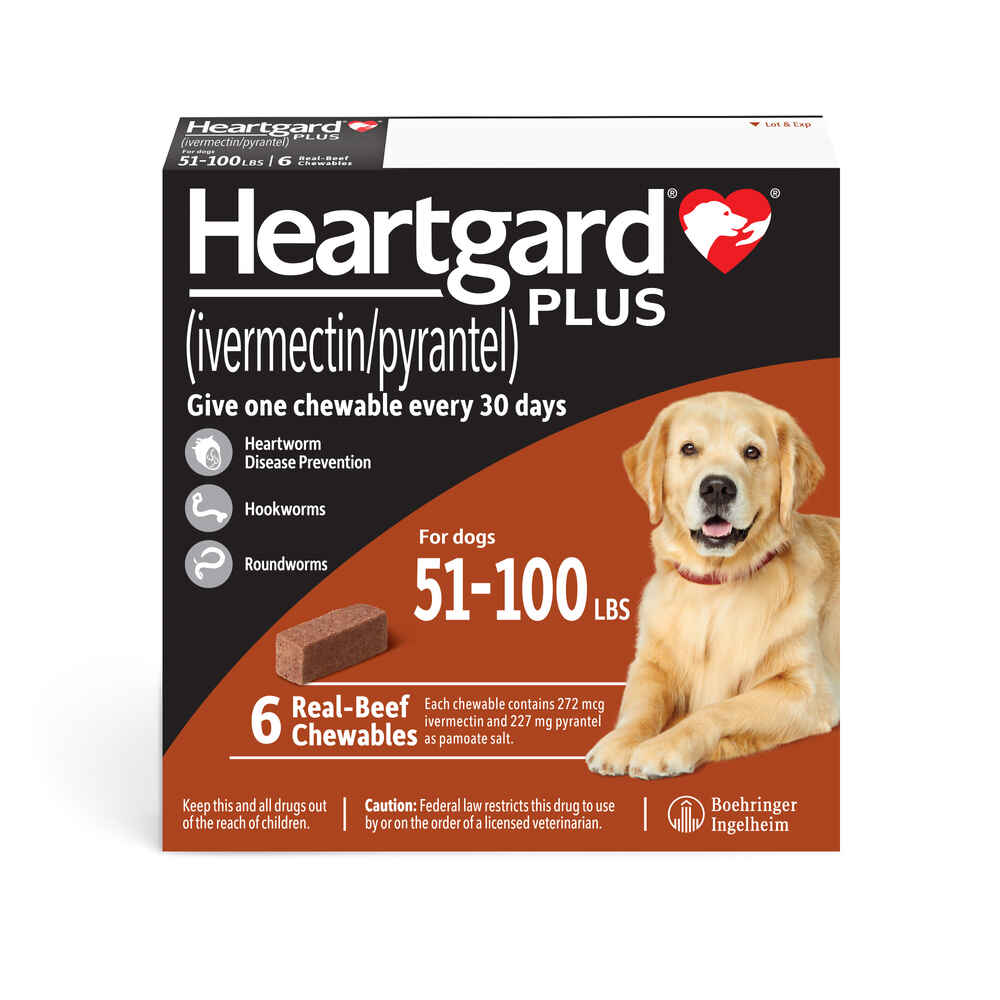 Heartgard Plus Dog 6 X 51-100 Lbs L 