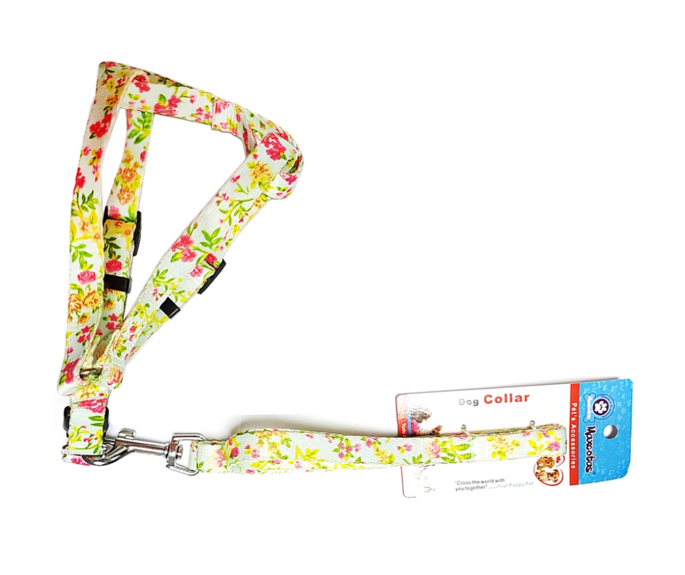 Pet Harness with Leash Assorted Patterns