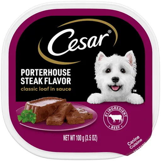 Cesar Canine - Porter House - Steak