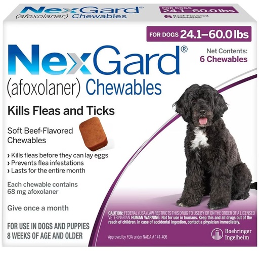 NexGard Dog (L) 24-60 lbs Purple - 1 Chewable