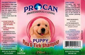 Procan Flea & Tick Puppy Shampoo - 250ml