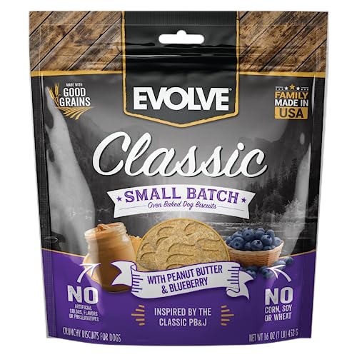 Evolve - Peanut Butter and Blueberry Biscuits