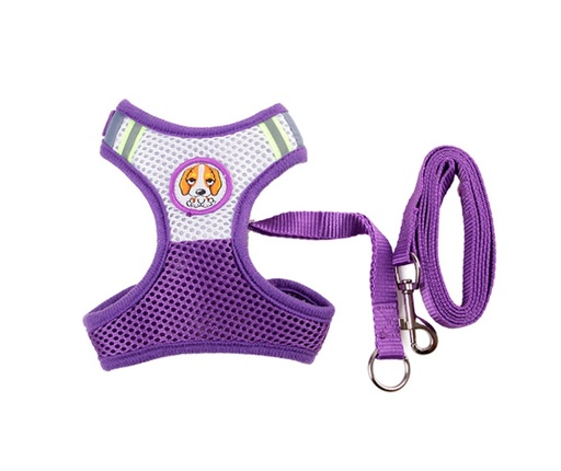 Pet Harness with Leash Assorted Colours